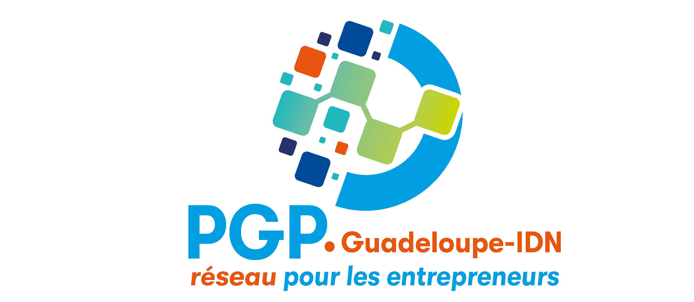 Logo PGP 971